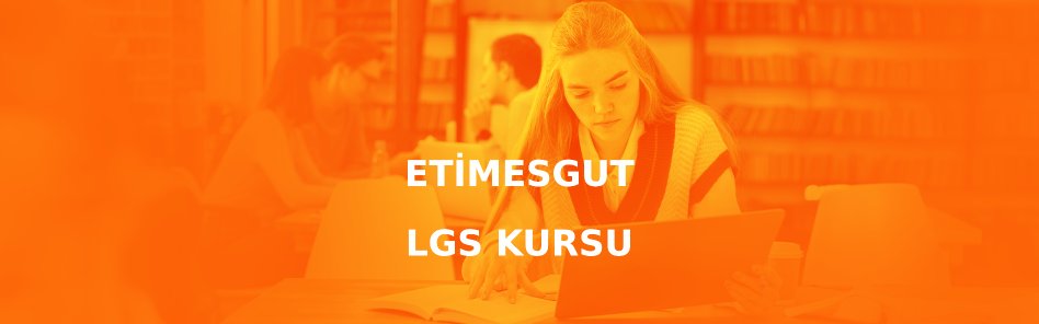 Etimesgut LGS Kursu